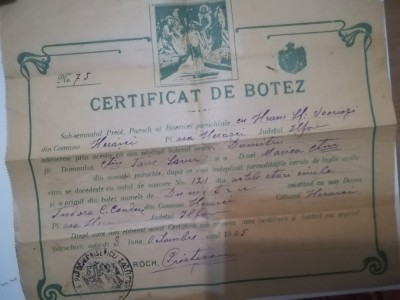 1905, Cerificat botez, Herăști, Ilfov, Biserica Sfintii Voievozi foto