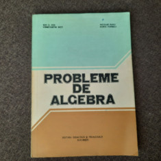 Probleme de algebra Ion.D Ion,Nicolae Radu RF9/0