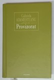 PROVIZORAT de GABRIELA ADAMESTEANU , 2010