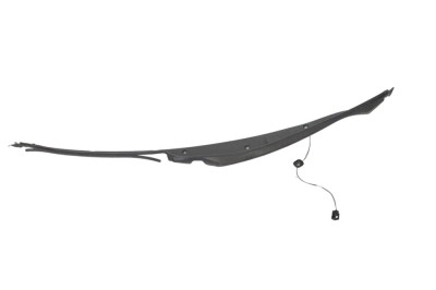 Ornament picurator haion dreapta TESLA MODEL X 2019 OEM: 1041594-00-D 25251337 foto