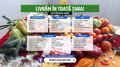 Rasaduri Rosii | Rasad Rosii Ardei Castraveti Vinete | Rasaduri Legume 2025 foto