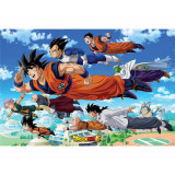 Poster Dragon Ball Super - Goku&#039;s Group (91.5x61)