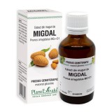 Cumpara ieftin Extract din muguri de Migdal, 50 ml, Plant Extrakt