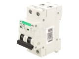 &Icirc;ntrerupător de supracurent 2A, 2 poli
