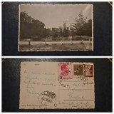 Buzau - Elesteul din Crang.