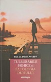 TULBURARILE PSIHICE SI PATOLOGIA DUHULUI-DMITRI AVDEEV-271926
