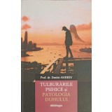 TULBURARILE PSIHICE SI PATOLOGIA DUHULUI-DMITRI AVDEEV-314490