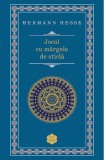 Jocul Cu Margele De Sticla, Hermann Hesse - Editura RAO Books