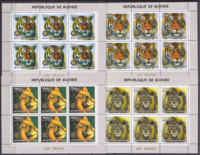 DB1 Fauna Guineea Feline Tigri Lei Puma 9 x MS 2 poze MNH I foto