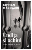 Undita si ochiul - Ciprian Macesaru