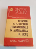 PRINCIPII ȘI STRUCTURI FUNDAMENTALE &Icirc;N MATEMATICA DE LUCRU - VOL. 2