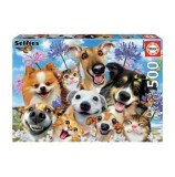 Puzzle Educa - Fun In The Sun Selfie, 500 piese