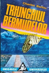 Triunghiul bermudelor. Incredibila poveste a disparitiilor misterioase - 1995 - Charles Berlitz (@D54) foto