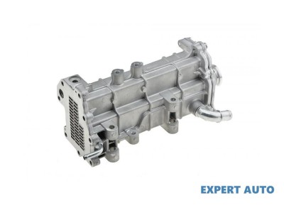 Radiator recirculare gaze Iveco Daily 4 (2011-&amp;gt;) #1 foto