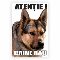 Indicator Atentie Caine Rau! foto