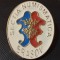 Insigna Brasov - Sectia Numismatica
