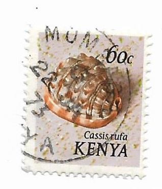 Kenya - Cochilii, 1971 - valoare obliterata
