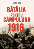 Batalia pentru Campulung 1916 - Eduard Matei, Cetatea de Scaun