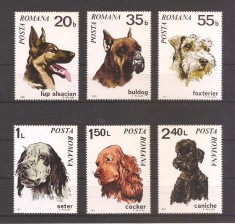 Romania 1971, LP 754 - Caini, MNH foto