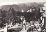 bnk cp Sinaia - Terasa muzeului Peles - circulata