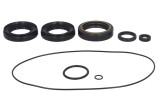 Cumpara ieftin Set de garnituri diferentiale pentru HONDA PIONEER 700 2014-2021