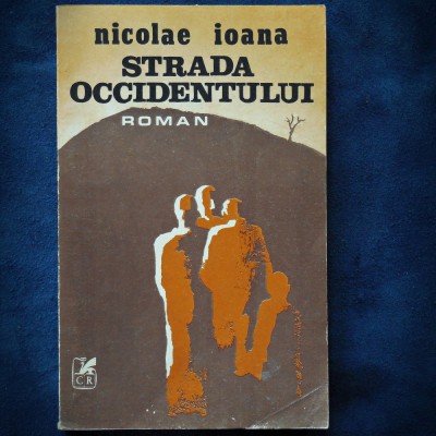 STRADA OCCIDENTULUI - NICOLAE IOANA - ROMAN foto