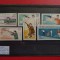 1965 - CAMPIONATELE EUROPENE DE TIR ( 1 )