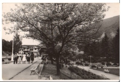 CPIB 15635 CARTE POSTALA - VEDERE DIN SLANIC MOLDOVA, RPR foto