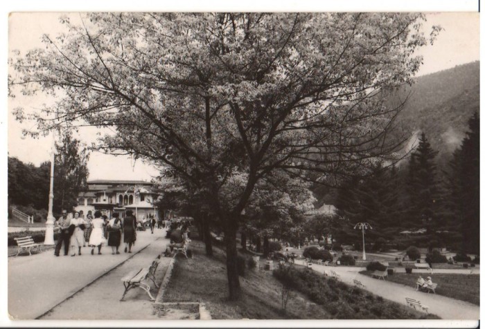 CPIB 15635 CARTE POSTALA - VEDERE DIN SLANIC MOLDOVA, RPR