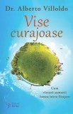Cumpara ieftin Vise curajoase. Cum viseaza samanii lumea intru fiintare. Editie revizuita/Dr. Alberto Villoldo