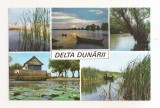 RF82 - Carte Postala - Delta Dunarii, circulata 1974