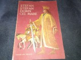 Cumpara ieftin STEFAN STEFAN DOMN CEL MARE