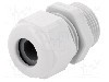 Presetupa poliamida, PG13,5, IP68, HSK-K, HUMMEL - 1.209.1300.15