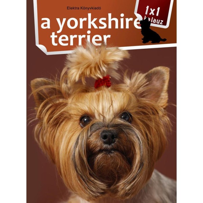 1x1 - A yorkshire terrier - Varga M&oacute;nika