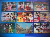 HOPCT LOT NR 477 PERSONAJE DINEY-DISNEY WORLD -17 CARTI POSTALE-NECIRCULATE