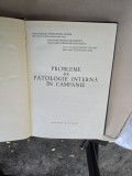 Probleme de patologie internă &icirc;n campanie - Constantin Zamfir, Bogdan Marinescu, Gheorghe Gheorghiu, Dominic Dogaru, Gheorghe Cioba