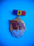 HOPCT ROMANIA INSIGNA VECHE BRIGADIER AL MUNCII PATRIOTICE, Romania de la 1950