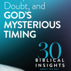 Faith, Doubt, and God's Mysterious Timing: 30 Biblical Insights about the Way God Works