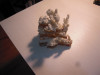 Coral alb decorativ dimensiuni aproximative 18x18 cm