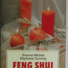 Shawne Mitchell, Stephanie Gunning - Feng shui. Magia luminii