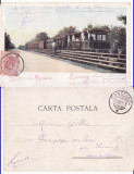 Constanta , Dobrogea -Trenul spre vii- clasica, Circulata, Printata