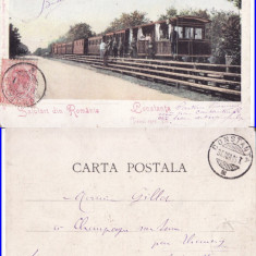 Constanta , Dobrogea -Trenul spre vii- clasica