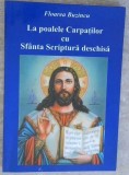 LA POALELE CARPATILOR CU SFANTA SCRIPTURA DESCHISA VOL. 4-FLOAREA BUZINCU-258922