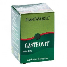 Gastrovit 40tablete Plantavorel foto