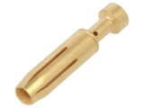Pin mamă aurit 0,75-1mm2 pentru contacte &icirc;ntoarse EPIC H-BE 2.5