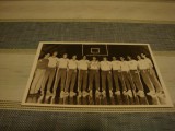 Echipa de baschet Dinamo Bucuresti - poza