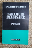 Valeriu Filimon - Taramuri imaginare , poezii