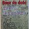 Baze de date pentru incepatori John V Petersen
