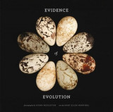 Evidence of Evolution | Mary Ellen Hannibal