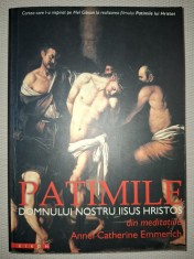 PATIMILE DOMNULUI NOSTRU IISUS HRISTOS DIN MEDITATIILE ANNEI CATHERINE EMMERICH